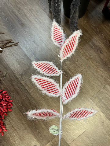 Candy stripe leaves